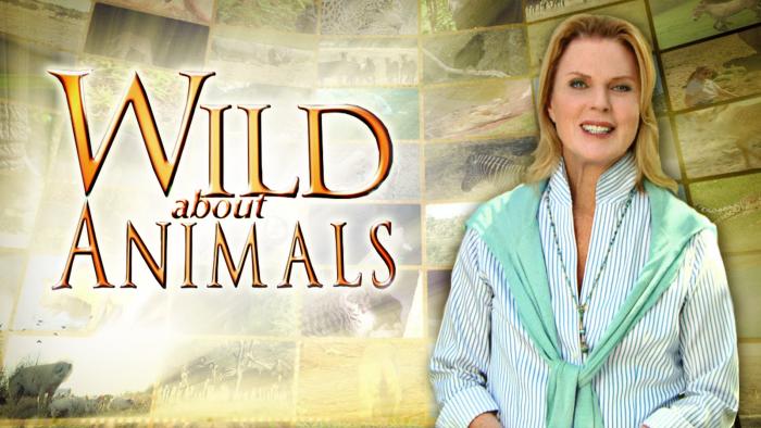 Wild About Animals